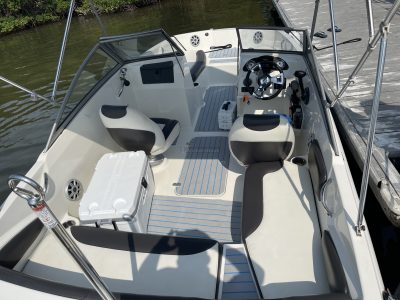 BOAT FUN IN THE SUN - STINGRAY STYLE!