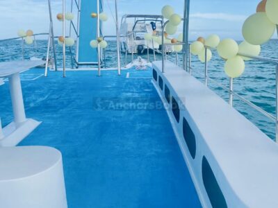 Private 4 hour party boat in Punta Cana