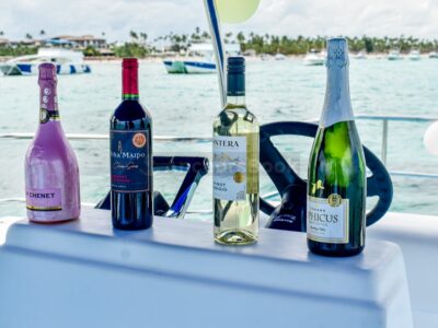 Private 4 hour party boat in Punta Cana