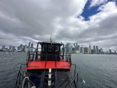 Island Princess - Mega Yacht Private Rental In Toronto
