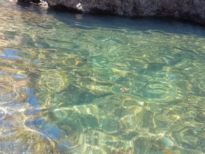 Ponta da Piedade Caves Shared Boat Tour from Lagos with Local Guide