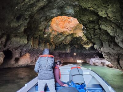 Ponta da Piedade Caves Shared Boat Tour from Lagos with Local Guide
