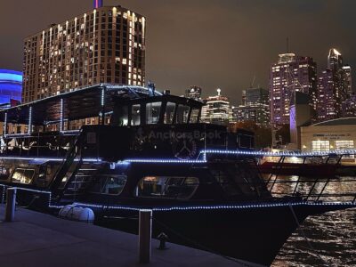 Island Princess - Mega Yacht Private Rental In Toronto