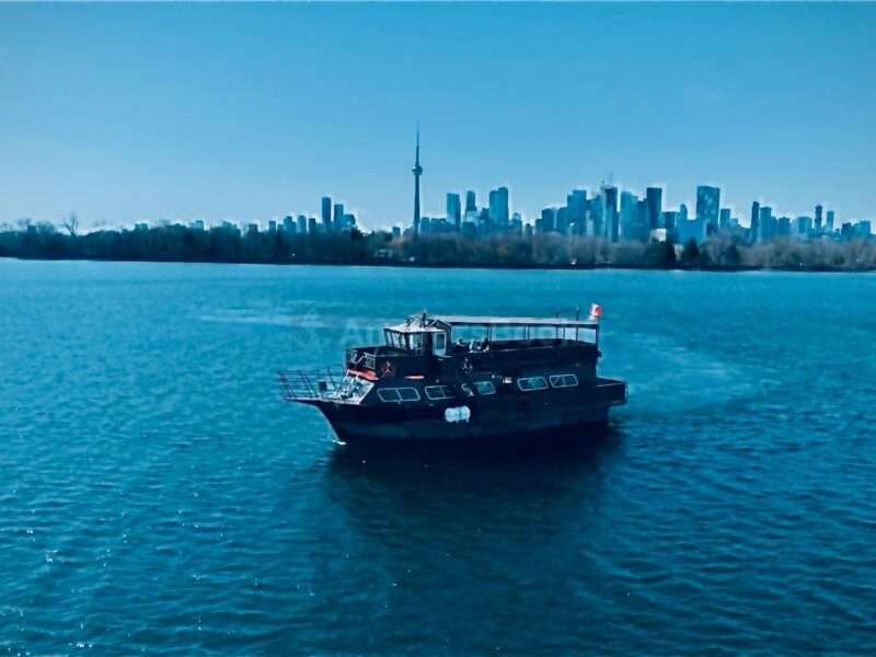Island Princess - Mega Yacht Private Rental In Toronto
