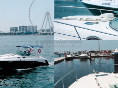 Sundancer 38ft – Private Group Yacht Rental