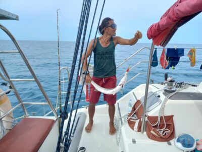 Sailing Catamaran In Samui - Thailand