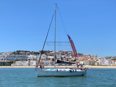 4 hour private sailboat tour