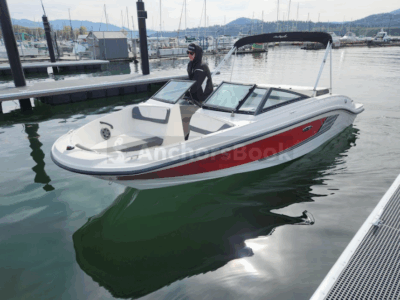 Sea Ray SPX 210, 250HP
