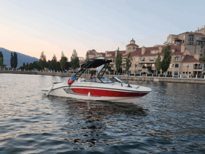 Sea Ray SPX 210, 250HP