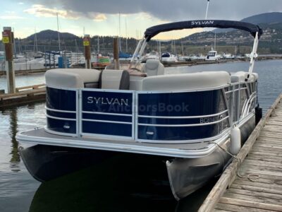 10 PASSENGER PONTOON