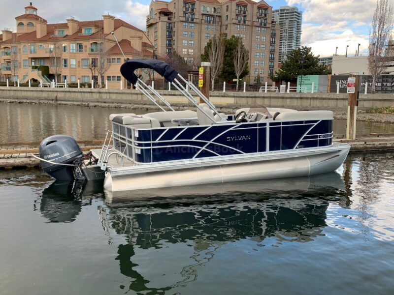 10 PASSENGER PONTOON