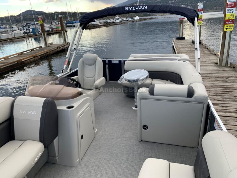 10 PASSENGER PONTOON