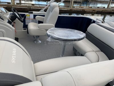 10 PASSENGER PONTOON