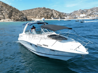 Your Own Private Yacht in Cabo – Snorkeling, Crew & Coastal Views