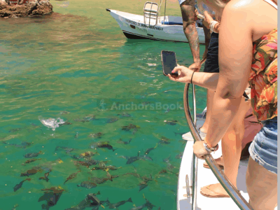 Your Own Private Yacht in Cabo – Snorkeling, Crew & Coastal Views