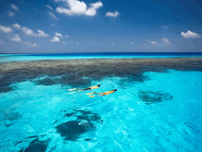 Cabo Private Yacht Cruise to El Arco with Snorkeling Adventure