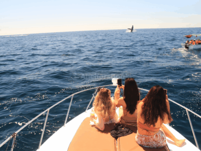 Cabo Private Yacht Cruise to El Arco with Snorkeling Adventure