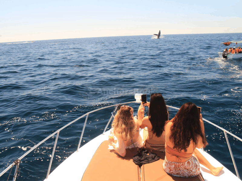 Cabo Private Yacht Cruise to El Arco with Snorkeling Adventure
