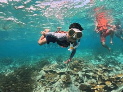 Punta Cana Catamaran Party– Snorkeling, Open Bar, Music & Pickup
