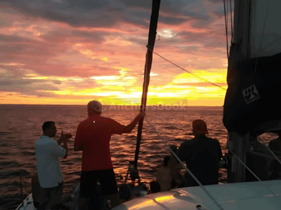 Costa Rica Sunset Catamaran: Snorkeling, Drinks & Fresh Bites